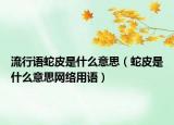 流行语蛇皮是什么意思（蛇皮是什么意思网络用语）