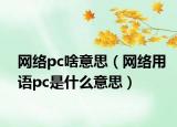 网络pc啥意思（网络用语pc是什么意思）