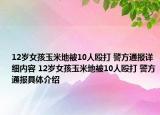 12岁女孩玉米地被10人殴打 警方通报详细内容 12岁女孩玉米地被10人殴打 警方通报具体介绍