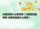 沐猴而冠什么意思啊（沐猴而冠的意思 沐猴而冠是什么意思）