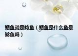 鮰鱼就是鲶鱼（鮰鱼是什么鱼是鲶鱼吗）