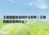 王俊凯粉丝名叫什么好听（王俊凯粉丝名叫什么）