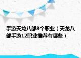 手游天龙八部8个职业（天龙八部手游12职业推荐有哪些）