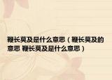 鞭长莫及是什么意思（鞭长莫及的意思 鞭长莫及是什么意思）