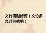 文竹何时修剪（文竹多久时间修剪）