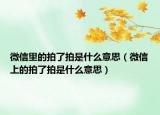 微信里的拍了拍是什么意思（微信上的拍了拍是什么意思）