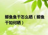 鲫鱼鱼干怎么晒（鲫鱼干如何晒）