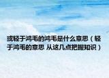 或轻于鸿毛的鸿毛是什么意思（轻于鸿毛的意思 从这几点把握知识）