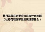 牡丹花栽在家里应该注意什么问题（牡丹花栽在家里应该注意什么）