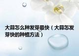 大蒜怎么种发芽最快（大蒜怎发芽快的种植方法）