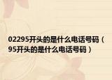 02295开头的是什么电话号码（95开头的是什么电话号码）