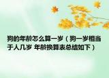 狗的年龄怎么算一岁（狗一岁相当于人几岁 年龄换算表总结如下）
