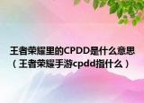 王者荣耀里的CPDD是什么意思（王者荣耀手游cpdd指什么）