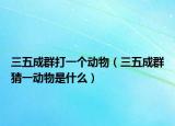 三五成群打一个动物（三五成群猜一动物是什么）