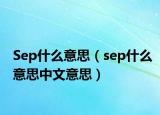 Sep什么意思（sep什么意思中文意思）