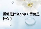 番薯是什么app（番薯是什么）