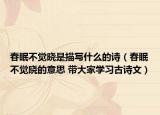春眠不觉晓是描写什么的诗（春眠不觉晓的意思 带大家学习古诗文）