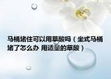 马桶堵住可以用草酸吗（坐式马桶堵了怎么办 用适量的草酸）