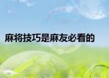 麻将技巧是麻友必看的