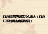 口袋妖怪涅槃洞怎么出去（口袋妖怪如何走出涅槃洞）