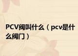 PCV阀叫什么（pcv是什么阀门）