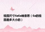 桂圆尺寸4a6a啥意思（6a的桂圆是多大小的）