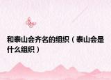 和泰山会齐名的组织（泰山会是什么组织）
