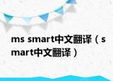 ms smart中文翻译（smart中文翻译）