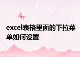 excel表格里面的下拉菜单如何设置