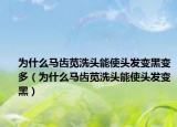 为什么马齿苋洗头能使头发变黑变多（为什么马齿苋洗头能使头发变黑）