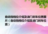 自动挡档位介绍及油门刹车位置图片（自动挡档位介绍及油门刹车位置）