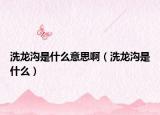 洗龙沟是什么意思啊（洗龙沟是什么）