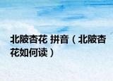北陂杏花 拼音（北陂杏花如何读）