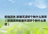 欲说还休 却道天凉好个秋什么意思（欲说还休却道天凉好个秋什么意思）