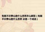 有眼不识泰山是什么意思怎么解释（有眼不识泰山是什么意思 这是一个成语）