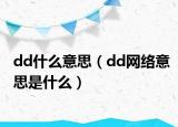 dd什么意思（dd网络意思是什么）