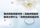 路虎揽胜星脉好吗（买路虎揽胜星脉需注意什么 一定要在提车前试车）