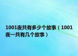 1001夜共有多少个故事（1001夜一共有几个故事）