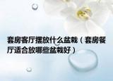 套房客厅摆放什么盆栽（套房餐厅适合放哪些盆栽好）