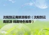 沈阳到云南旅游报价（沈阳到云南旅游 线路特色推荐）
