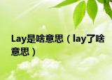 Lay是啥意思（lay了啥意思）