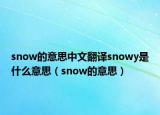 snow的意思中文翻译snowy是什么意思（snow的意思）