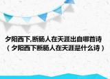 夕阳西下,断肠人在天涯出自哪首诗（夕阳西下断肠人在天涯是什么诗）