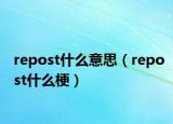 repost什么意思（repost什么梗）