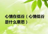 心情在低谷（心情低谷是什么意思）