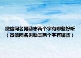 微信网名男励志两个字有哪些好听（微信网名男励志两个字有哪些）