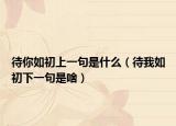待你如初上一句是什么（待我如初下一句是啥）