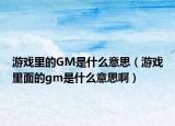 游戏里的GM是什么意思（游戏里面的gm是什么意思啊）