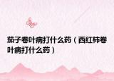 茄子卷叶病打什么药（西红柿卷叶病打什么药）