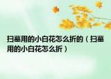 扫墓用的小白花怎么折的（扫墓用的小白花怎么折）
